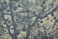 Apfelbaum II