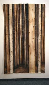 Forest dark 1