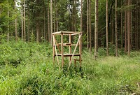 Strange Places 08