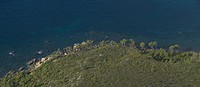 Bäume am Meer